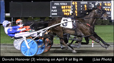 Dovuto Hanover Triumphs In Open