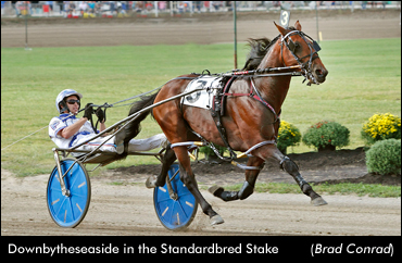 Downbytheseaside In Recovery Down Under