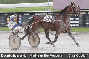 New Path For Downbytheseaside