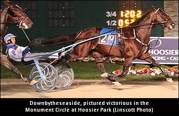 Downbytheseaside To Stand Stud In 2018