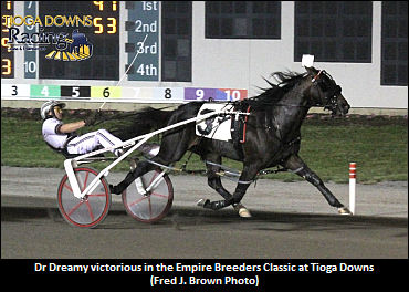 Dr Dreamy: "His Year Is About Over"