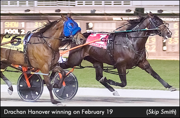 Pompano Open To Drachan Hanover