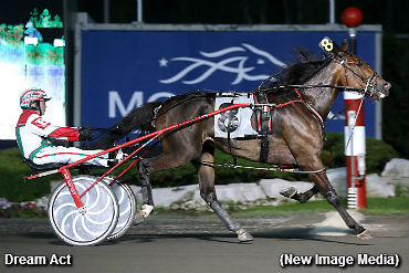 Grassroots Galore For Trotting Fillies
