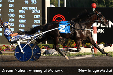 Dream Nation Sidelined With Injury