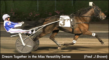 Dream Together Nabs Miss Versatility Leg