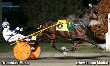 Favourites Falter In Valedictory