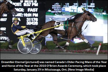 Dreamfair Eternal Canada’s 2010 Horse Of The Year