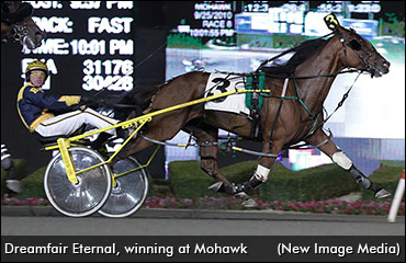 First Foal For Dreamfair Eternal