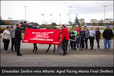 Dreamfair Zenfire Prevails At Red Shores