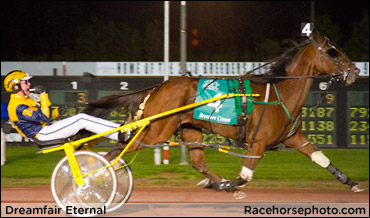 Forest City Pace Drawn