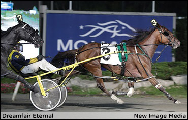 Dreamfair Eternal Rebounds In Milton Elim