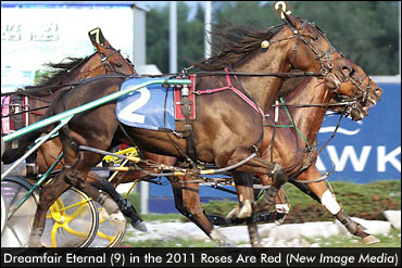 Dreamfair Eternal Takes Mares Open