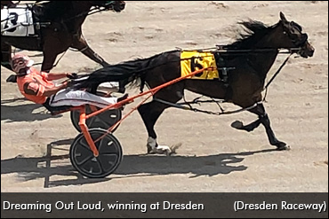 Can Dreaming Out Loud Stay Perfect?