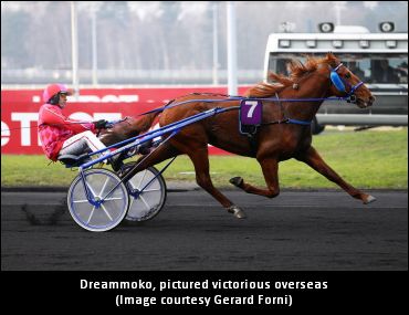Dreammoko To The International Trot