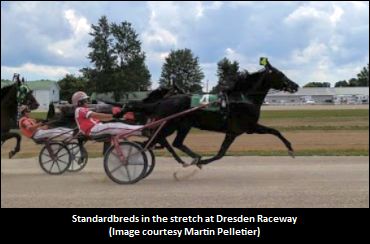 Dresden's 2020 Meet Kicks Off