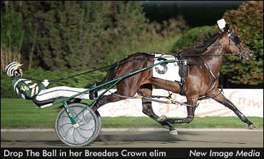Breeders Crown Elims Complete