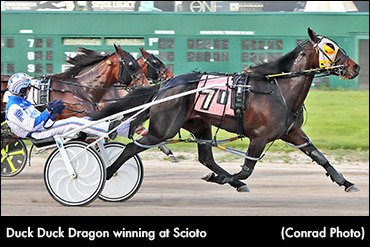 Harness Racing Is Back!