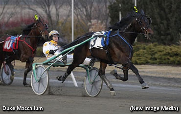 A Family Affair With Duke Maccallum