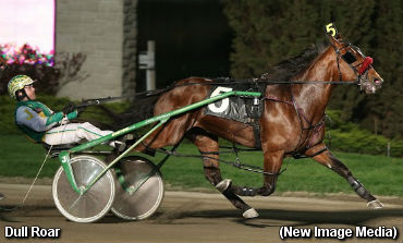 Grassroots Hat Trick For Dull Roar