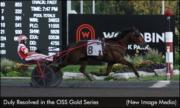 Duly Resolved Ready For Wellwood