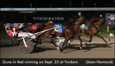 Dune In Red Defeats Yonkers Distaffers
