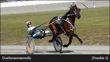 Dustlanemissmolly Lowers Record