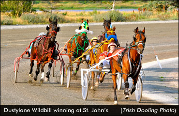 'Wildbill' Wins St. John's Preferred