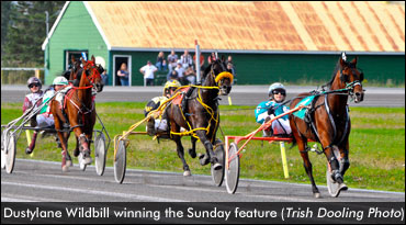 'Wildbill' Wins Newfoundland Stake