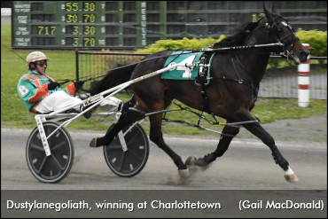 Can 'Goliath' Play Giant Killer Again?