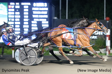 Regular Season Over For Rookie Colts