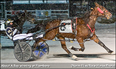 About A Boy Best At Flamboro