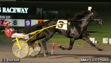 Trotters Tussle In NYSS At Yonkers