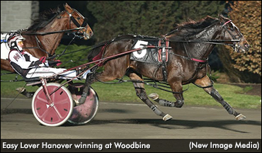 Four In A Row For Easy Lover Hanover