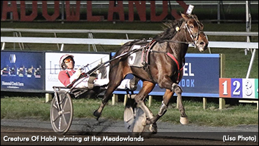 Creature Of Habit Tops Mixed Sale