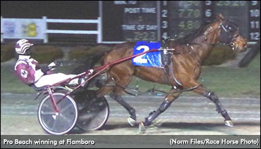 Pro Beach Breezes In Flamboro Preferred