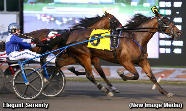 Speed Show In Gold Divisions 