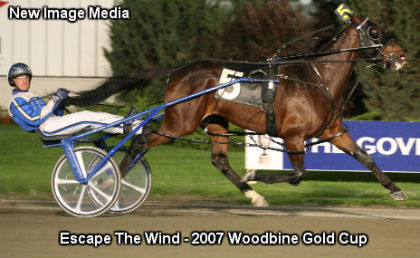 Milestone Win For Escape The Wind
