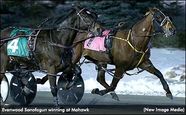 Gate To Wire Win For ‘Evenwood’