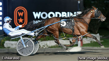 Exhilarated On A Roll