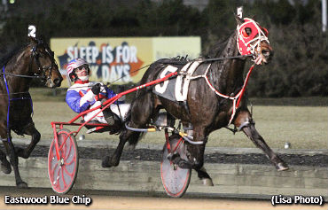 Junior Trendsetter Underway At Big M