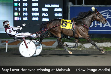 Update On Easy Lover Hanover