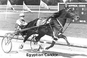 Hambletonian Snapshot: A Look Back To 1965