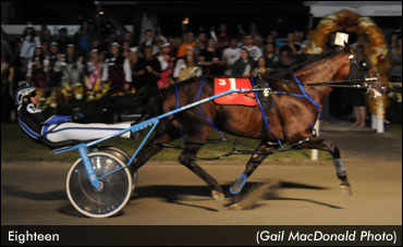 Eighteen Romps In Gold Cup & Saucer