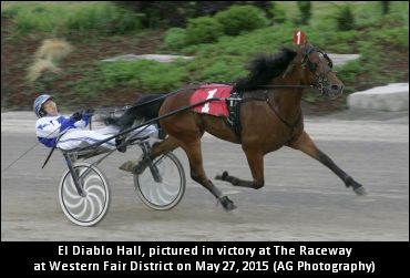 Montini On ‘Great Half-Mile Horse’