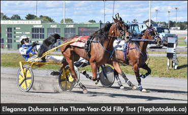 Roy Wins Five Super Sunday Finals