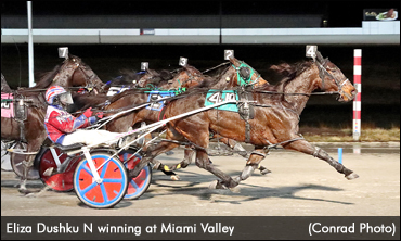 Eliza Dushku N Bests Miami Valley Mares