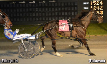 Eight Straight For Elliesjet N