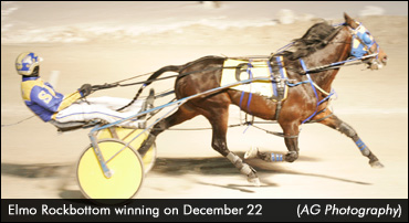 Shepherd Trainees 1-2 In Claiming Series