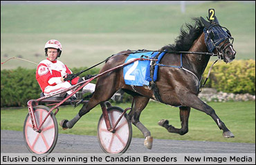 Keeling On Elusive Desire Retirement