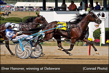 Elver Hanover Makes 2020 Debut